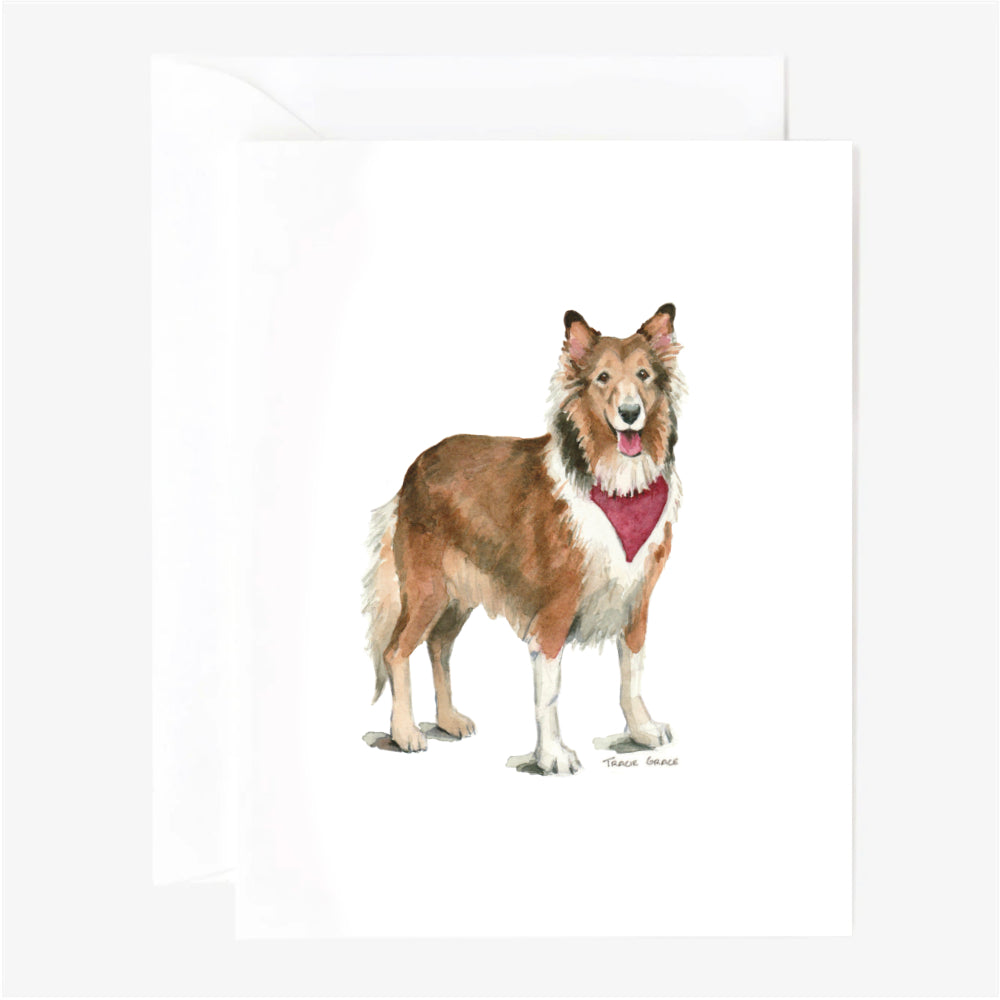 Collie Greeting Card