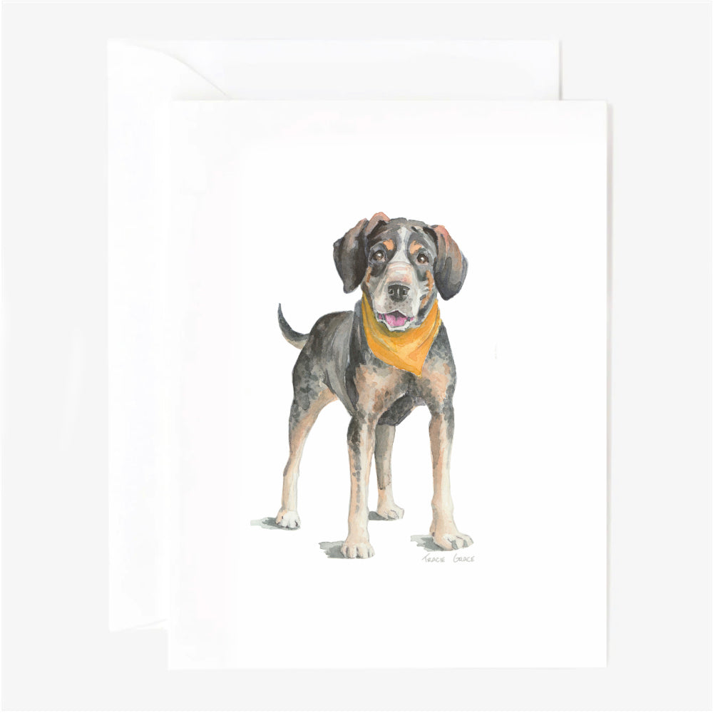 Coonhound Greeting Card
